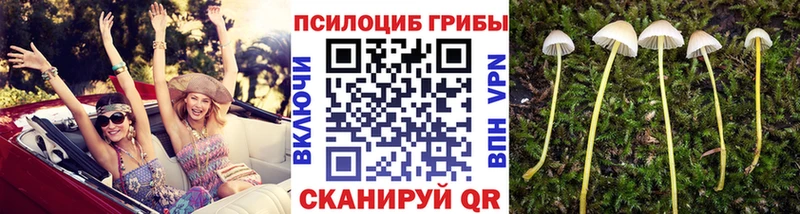 MEGA рабочий сайт  Безенчук  Галлюциногенные грибы мухоморы  как найти  